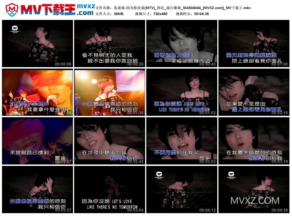张惠妹-因为你没说(MTV)_国语_流行歌曲_MA504044